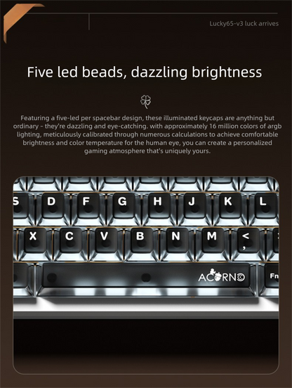 ACORND keyboard with illuminated keys on a dark background