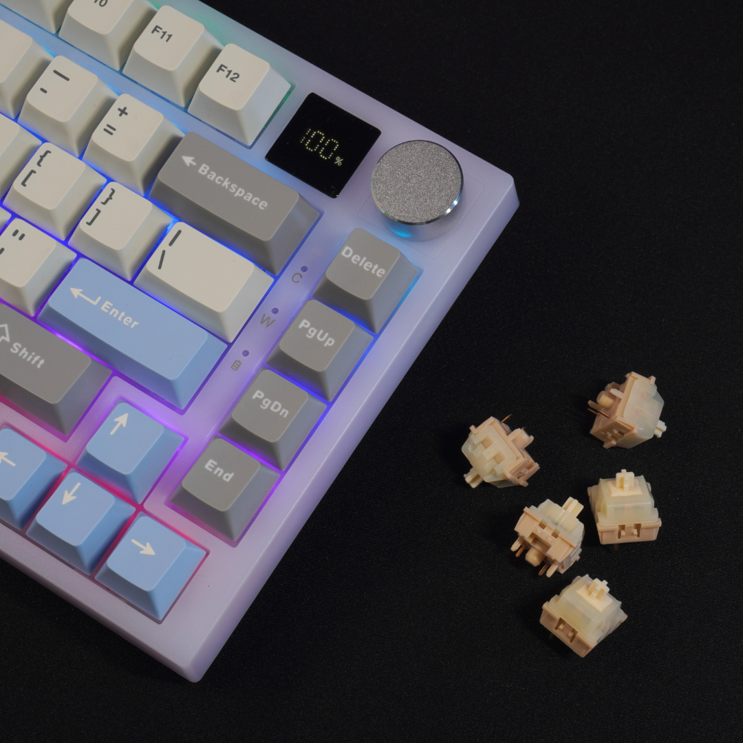 What The Thock Bubbly75 75% Mechanical Keyboard, Detail photo of the top right corner of the keyboard, detailing the media knob, screen, RGB, and KTT Coconut Latte Linear switches
